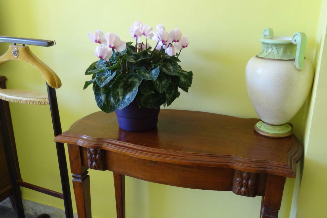 Chambre Ajaccio Apartman Ajaccio  Kültér fotó